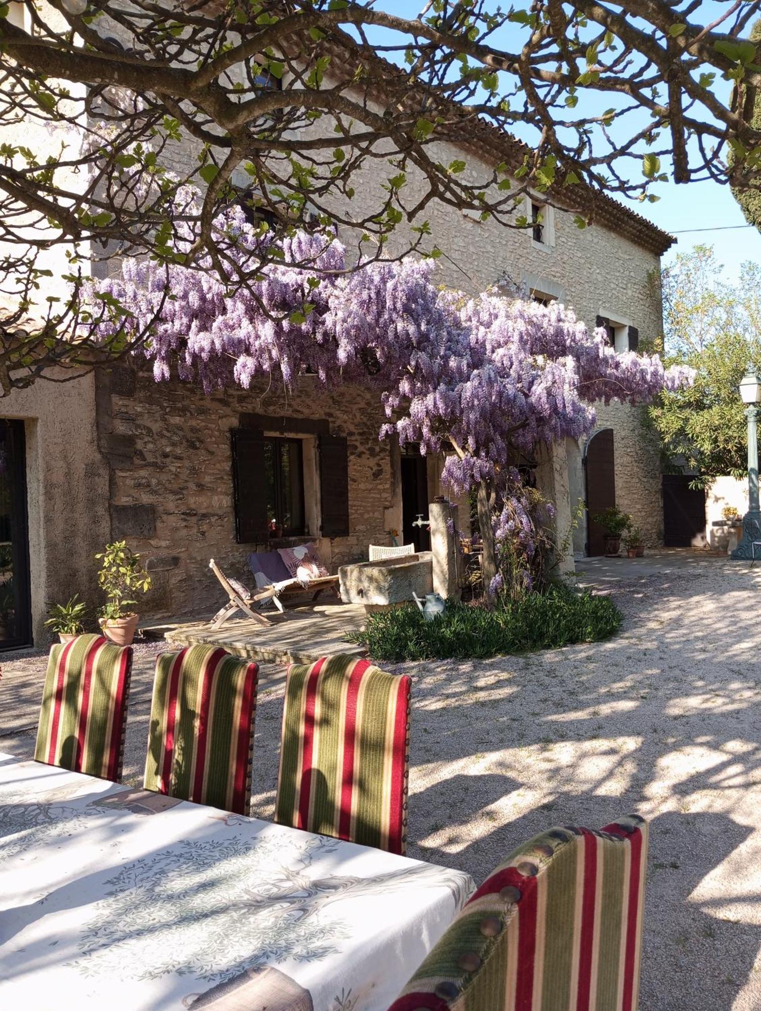Gasthuis Remy A Saint-Rémy-de-Provence