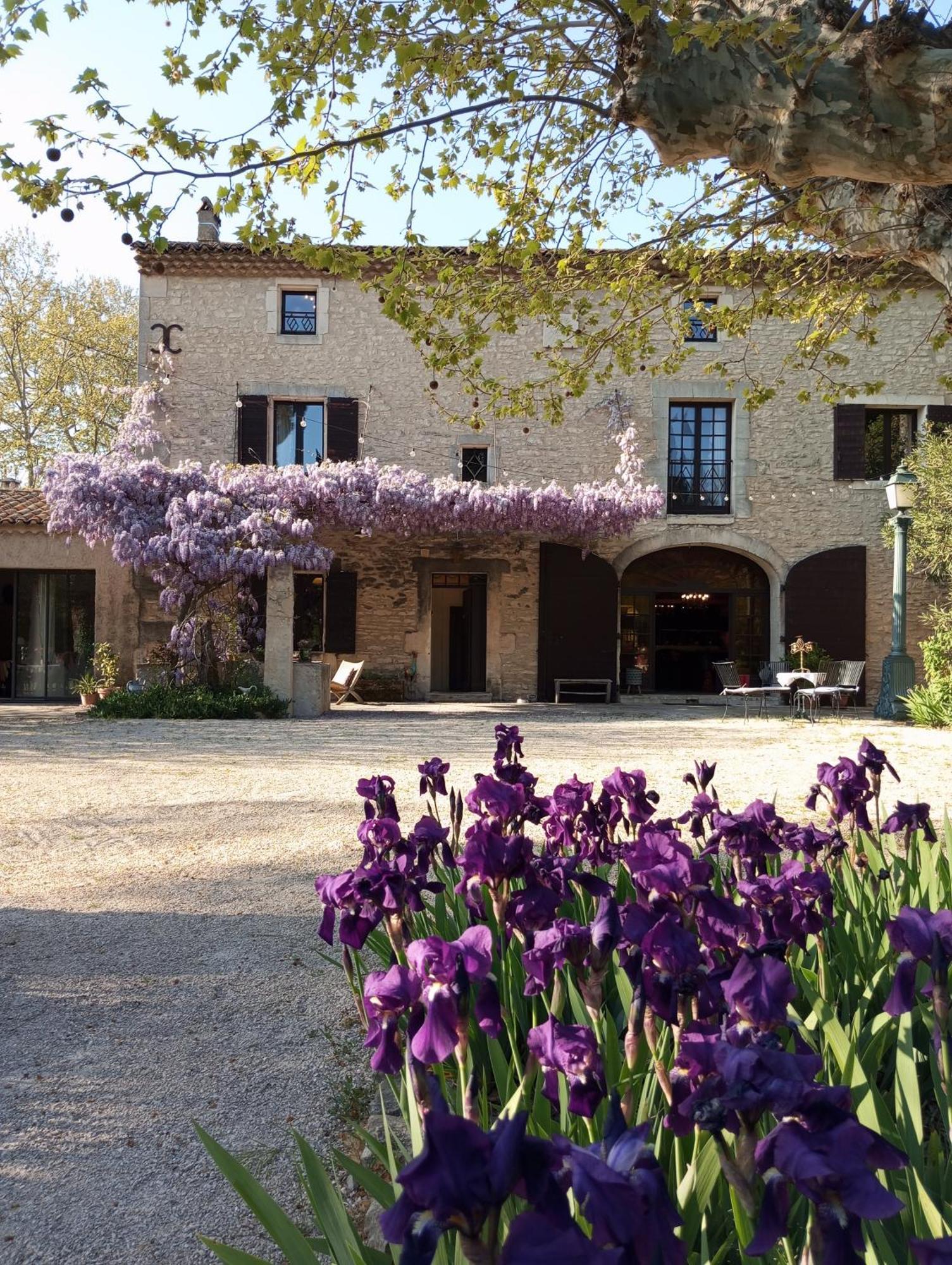 Remy A Saint-Rémy-de-Provence